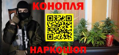 крисы Дубна