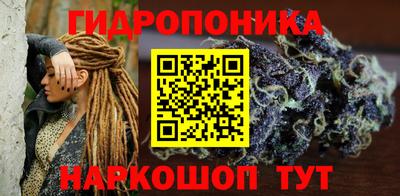 крисы Дубна
